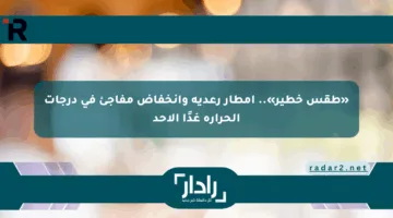 «طقس خطير».. أمطار رعدية وانخفاض مفاجئ في درجات الحرارة غدًا الأحد